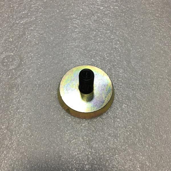Bushing Magnets